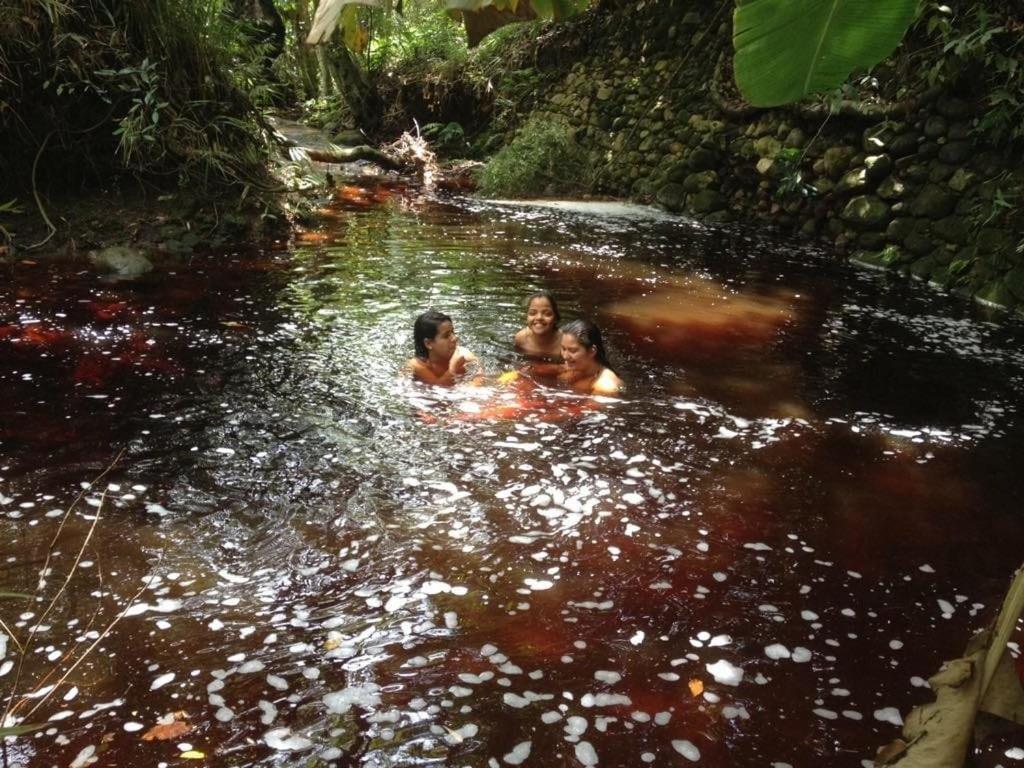 Hospedaria Quintal Dos Sonhos วาเล ดู คาเปา ภายนอก รูปภาพ